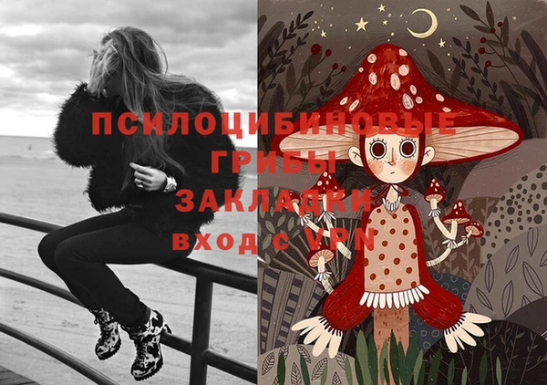 прущий лед Алексин