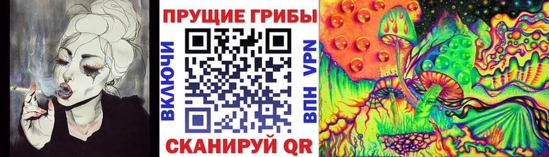 Галлюциногенные грибы Psilocybine cubensis Югорск