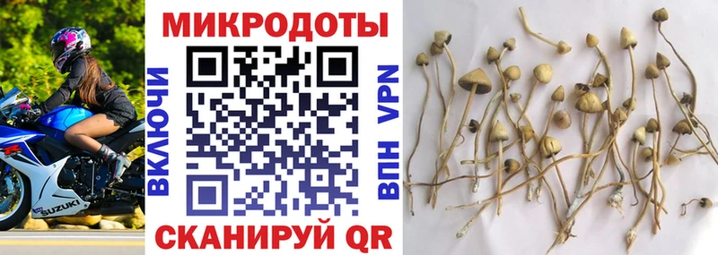 дарнет шоп  Югорск  Псилоцибиновые грибы Cubensis 